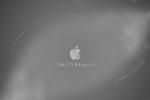 apple_wallpaper_050